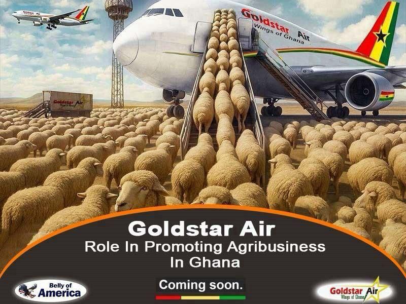 Goldstar Air Role In Promoting Agribusiness In Ghana